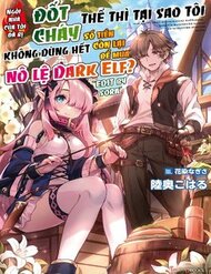 Truyện Tranh Ie ga Moete Jinsei Dou Demo Yoku Natta kara, Nokotta Nakenashi no Kin de Dark Elf no Dorei o Katta